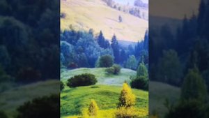 Стих Проходять дни, летять года