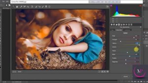 How To Create Red Autumn  Photo Editing In Photoshop CC 2020 Free camera raw preset  Download