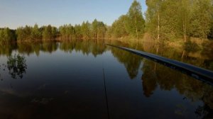 Летний боковой кивок Fishlandia Сталкер Первый взгляд