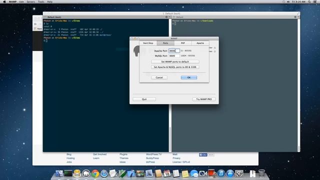 How to install Wordpress on MAMP Locally using MAC OS смотреть онлайн
