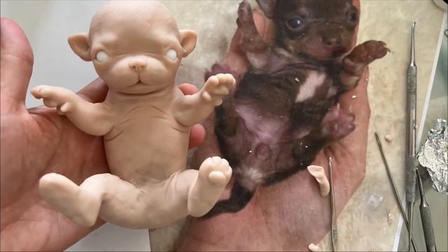 Лепка щенка чихуахуа/скоро в силиконе/ #siliconepuppy #силиконоваякукла
