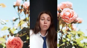 Ненависть нарцисса