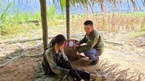 Harvesting bamboo to build a house - seriously injured while transporting bamboo |Single mom Mai Hâ
