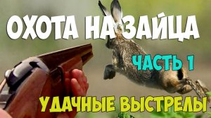 Охота на зайца. Удачные выстрелы - часть первая.