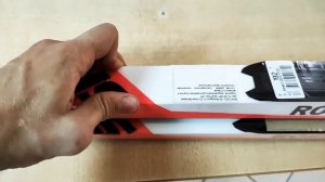 Лыжи  беговые Rossignol Delta Sport 2021/2022. Что нового?