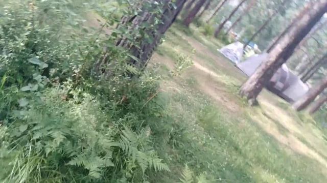 Прогулка. Река Катунь. Горный Алтай. Кемпинг . 23.07.2019