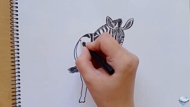Как нарисовать зебру || How to draw a Zebra смотреть онлайн