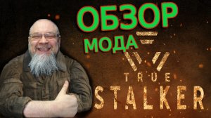 ОБЗОР TRUE STALKER ! ЧИКИ-БРИКИ ШЕДЕВР?!