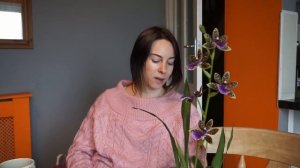 Зигопеталум, уход в домашних условиях. Секрет цветения.