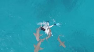 МАЛЬДИВЫ 2022 ?? ЭКСТРЕННО ❗️ АКУЛА НАПАЛА на туристку  Фулиду - Маафуши Shark attacked in Maldives