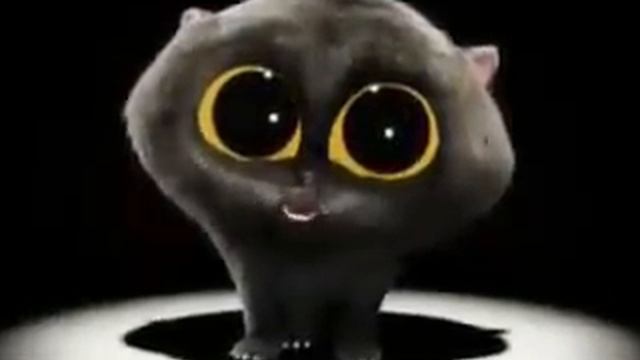 Brainnnnns - Return of the Living Steve Cute cats, Cute animals, Scary cat