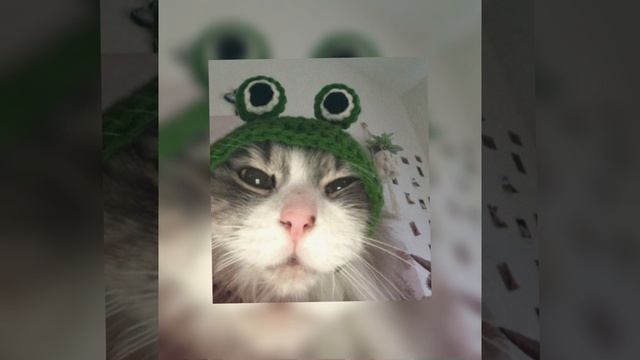 Me Gustas Tu {Sped Up} смотреть онлайн