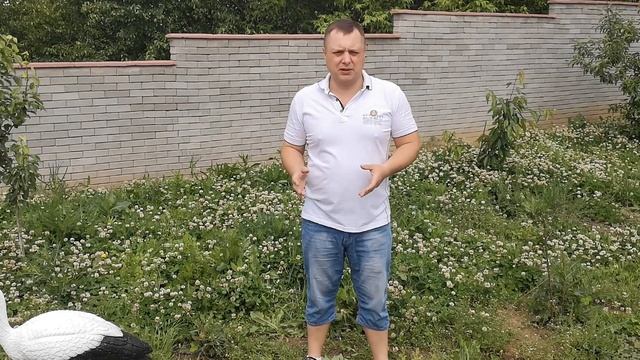 Забор из лего кирпича, реальный отзыв после 5 лет