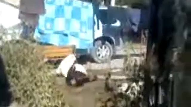 Блохи заели!!! Гав Гав смотреть онлайн