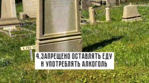 15 отличий голландских кладбищ и похорон от наших😀