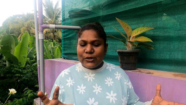 വേഗം...വരൂ  free plant വേണ്ടേ #give away#lovemyplantssreekalaribu #onlineplants