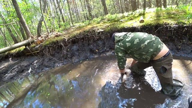 Выкачал помпой лесной пруд. Афигеть сколько было рыбы. Зарыбляю большой пруд. смотреть онлайн