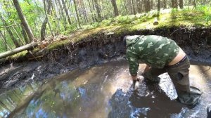 Выкачал помпой лесной пруд. Афигеть сколько было рыбы. Зарыбляю большой пруд.
