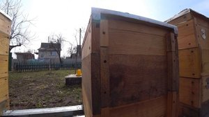 РОГАТЫЙ УЛЕЙ   БРАК ВЫЛЕЗ ЧЕРЕЗ ГОД