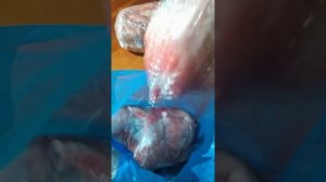 Вес тушки кролика Белый Панон в 3 месяца на собственном гранулированном комбикорме