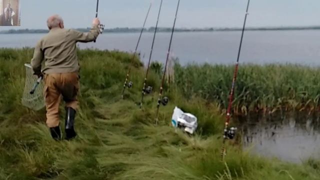 Трофейный лещ 2022 Рыбалка на Соску и Убийцу карася на реке. смотреть онлайн