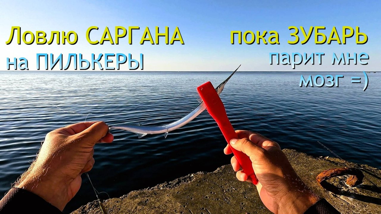 Ловлю саргана на пилькер с берега. Неуловимый зубарик.