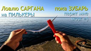 Ловлю саргана на пилькер с берега. Неуловимый зубарик.