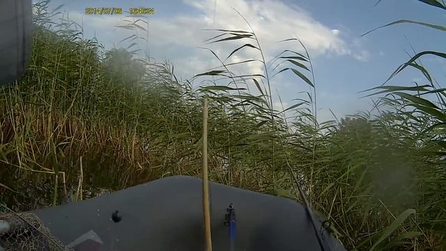 20140706 164609 0,7 карпёнок