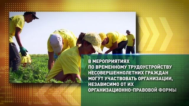 Трудоустройство несовершеннолетних