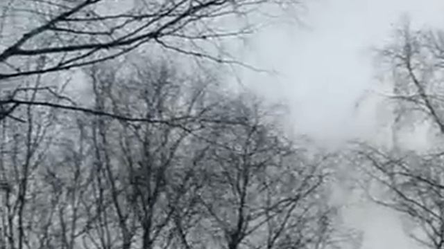 Цвет небесный