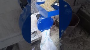 Зернодробилка Комфорт 250 кг/ч в работе...