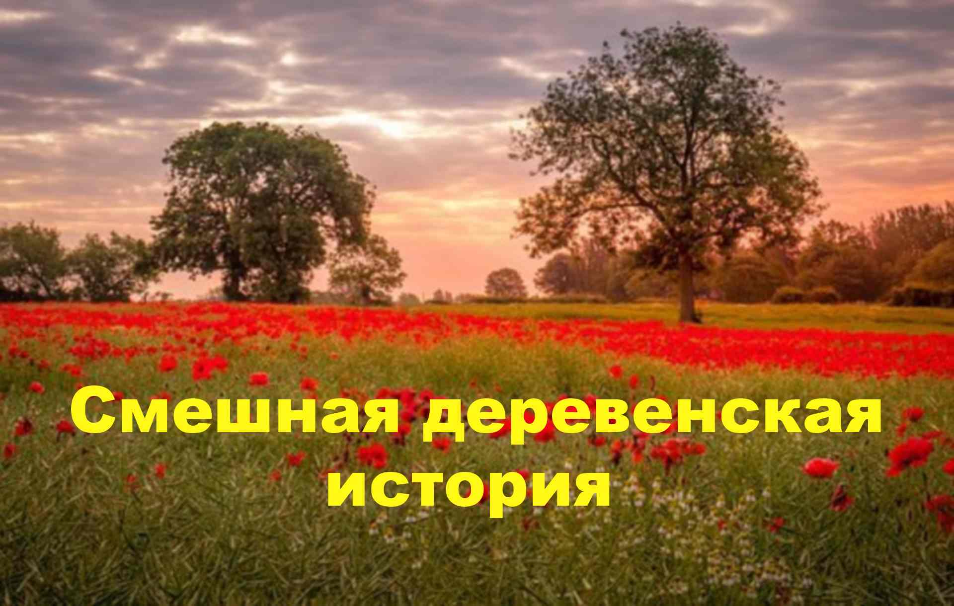 Слушать истории из жизни