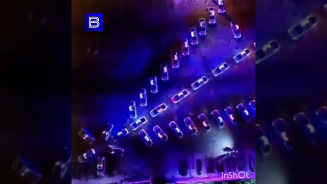 Вот так выглядит самый большой кот в мире смотреть онлайн