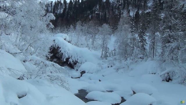 Встреча 2019 года в тайге . Покатушки на лыжах с горных склонов. смотреть онлайн