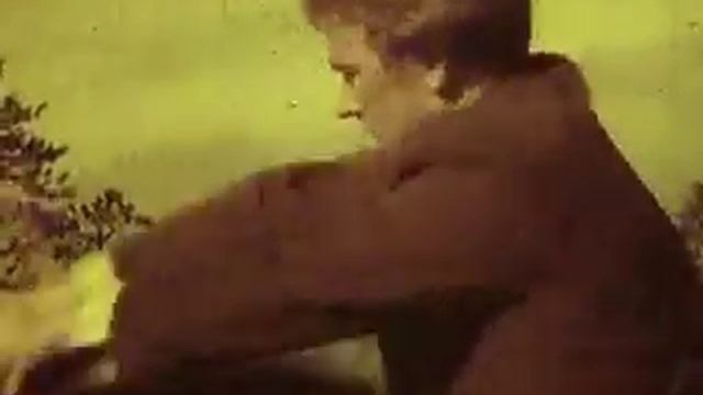 Лесные фиалки смотреть онлайн