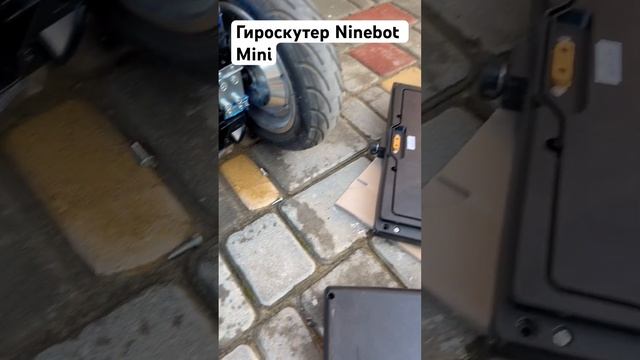 Ремонт Гироскутер Ninebot Mini