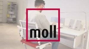 Регулируем высоту спинки и сиденья, а также глубину сиденья у стула moll Scooter