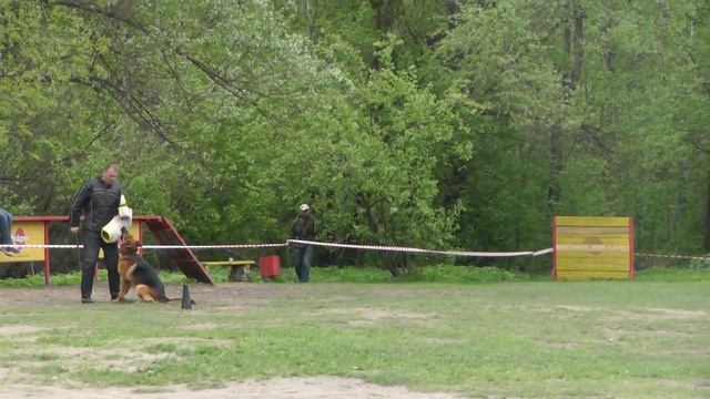 Чемпионат Москвы 2014 г. по ОКД и ЗКС. смотреть онлайн