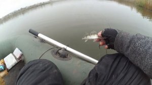 Осенний СУДАК на РАТЛИН