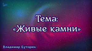 30 окт. 2022 г. Тема: «Живые камни» Владимир Буторин.