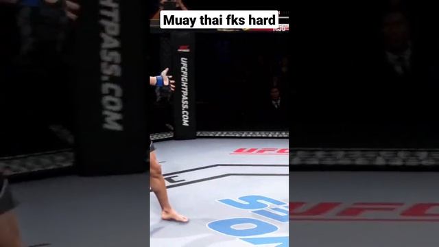 Muay thai Ufc, Муай Тай в ЮФС