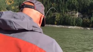 Ловля огромного белого  Осетр 2.5 метра ловля на спиннинг - выпрыгивает из воды!