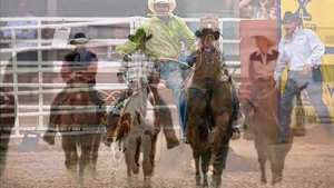 GEORGE STRAIT ...AMARILLO BY MORNING