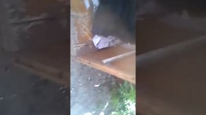 Будка из ящика. Обзор. DIY Будка для собаки!