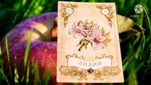 ЛИЛИИ?ТРИДЦАТАЯ КАРТА ЛЕНОРМАН?ЗНАЧЕНИЕ КАРТЫ ЛЕНОРМАН?