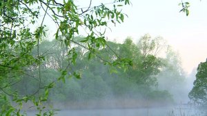 Я люблю тишину | С любовью к русской природе