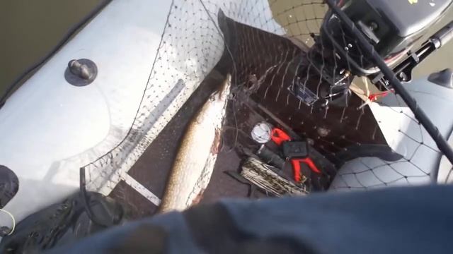 Ловля щуки на реке Ишим смотреть онлайн