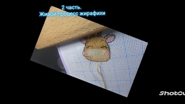 живой процесс вышивки жирафа