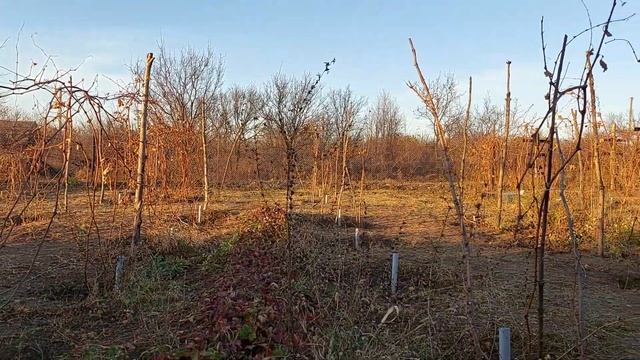 26.10.2021 _ На даче в Октябре)) часть 12 смотреть онлайн