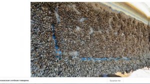 Крушение Ковчега Ноя в горах Чечни